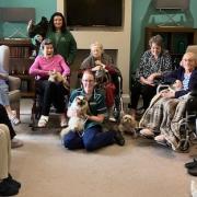 Residents at Rose Lodge care home in Wisbech were pleasantly surprised to see animals such as chickens, guinea pigs and lizards roaming around their lounge as ‘Michelle’s Animal Therapy and Petting Zoo’ paid a visit.
