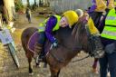 Six-year-old Kodie Read has found a love for horse riding