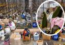 Volunteers at Ukraine Lifeline's warehouse in Pymoor are working tirelessly to help arrange donations that are then distributed to the country.