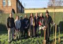 Cherry trees have been planted in Whittlesey as part of the Japanese Sakura Cherry Tree Project.