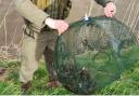 Three illegal crayfish traps have been seized from the River Nene (Old Course).