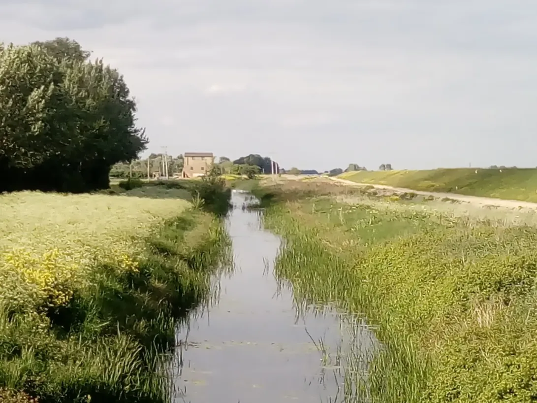 Talk in Ely will explore fascinating history of the Fens - Vimarsana News