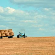 Many British farmers have been detailing the difficulties that they are facing at the moment caused by the drought on social media.