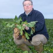 Fenland farmer and NFU Sugar board chairman Michael Sly says a 260,000-tonne tariff-free quota for raw cane sugar imports could be 'devastating' for the homegrown sugar beet industry