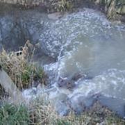 Part of the evidence produced by the Environment Agency in their successful prosecution of Anglian Water