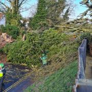 Trees down on Station Road, Melbourn earlier this morning.