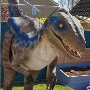 David Abbott will be taking his dinosaur to March and Wimblington this weekend (October 30-31) for some Halloween fun for children.