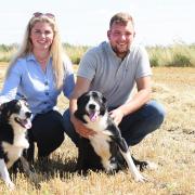 Norfolk County Farms tenants Tom Martin and Hannah Hetherington with their dogs at Mendhams Farm in Outwell, near Wisbech