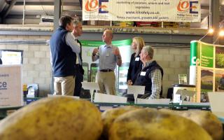 Oliver Boutwood, director of Isle of Ely Produce, has warned the government that potato exports to Ireland could stop completely after the Brexit deadline.